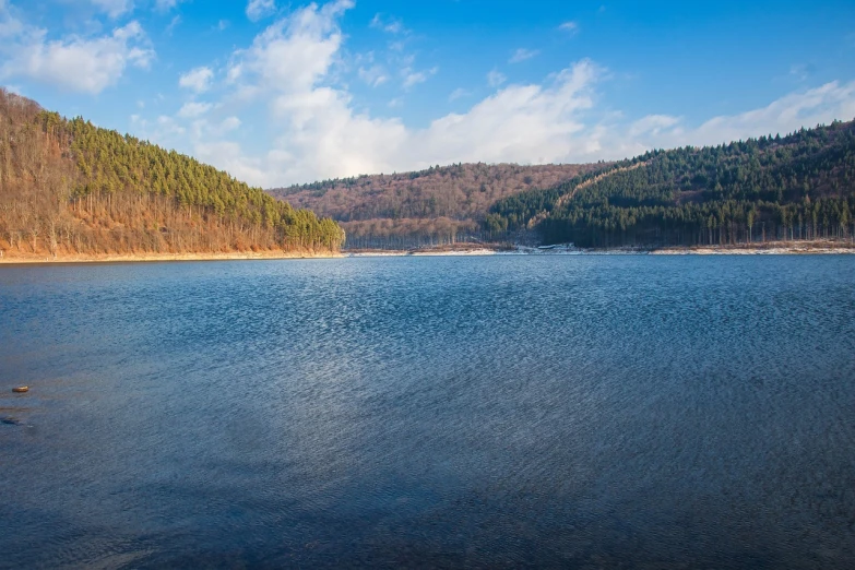 a large body of water surrounded by trees, a photo, by Thomas Häfner, shutterstock, les nabis, wide panoramic shot, black forest, january, water reservoir