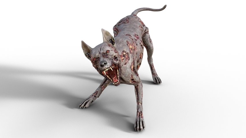 a close up of a dog with it's mouth open, a digital rendering, featured on zbrush central, zombie in horror concept art, full body shot hyperdetailed, 3d render of catwoman, highly realistic photo