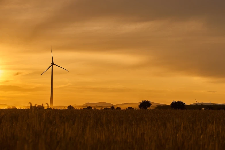 a wind turbine in a wheat field at sunset, by Edwin Georgi, figuration libre, landscape wide shot, australian, high res photo, lone silhouette in the distance