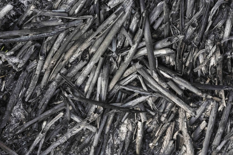 a pile of sticks sitting on top of a pile of dirt, a charcoal drawing, shutterstock, high resolution texture, abstract black oil, fire texture, grayish