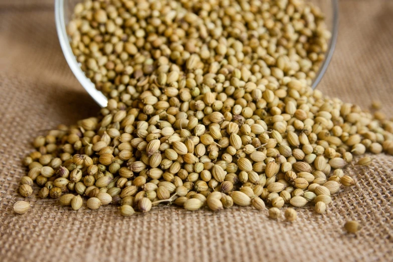 a bucket filled with seeds sitting on top of a table, a portrait, pexels, hurufiyya, papyrus, close up to a skinny, burlap, pepper