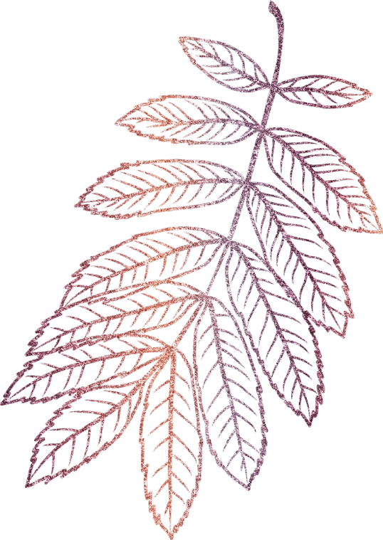 a close up of a leaf on a black background, a digital rendering, inspired by Master of the Embroidered Foliage, kinetic pointillism, stardust gradient scheme, with soft pink colors, engraving illustration, autum