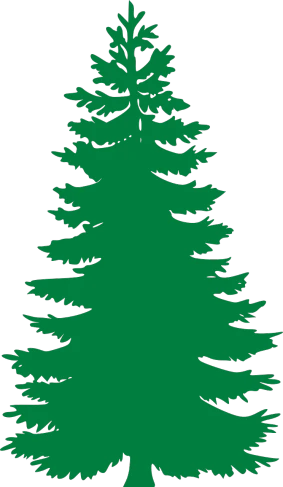 a green pine tree on a black background, a screenshot, black backround. inkscape, large tall, ( ( dark green, engraved