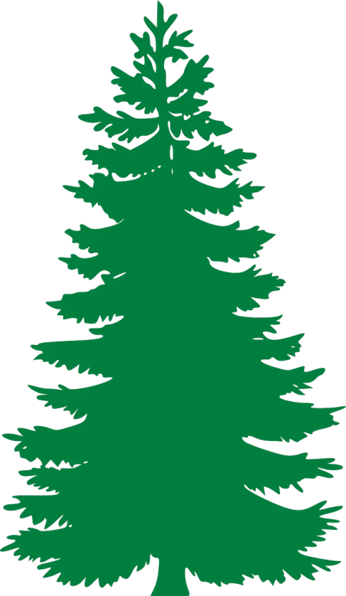 a green pine tree on a black background, a screenshot, black backround. inkscape, large tall, ( ( dark green, engraved
