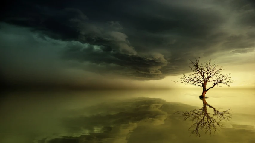 a tree that is standing in the water, a picture, by Zoran Mušič, romanticism, yellow clouds, iphone background, evil atmosphere, mirror background