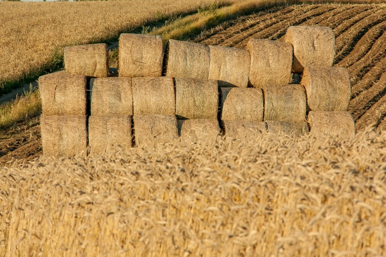 a pile of hay sitting in the middle of a field, a stock photo, shutterstock, farm field background, barrels, warm golden backlit, viewed in profile from far away