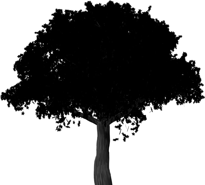 a black and white photo of a tree, an ambient occlusion render, inspired by Edgar Schofield Baum, black background!!!!!, glsl - shaders, with a few scars on the tree, nighttime