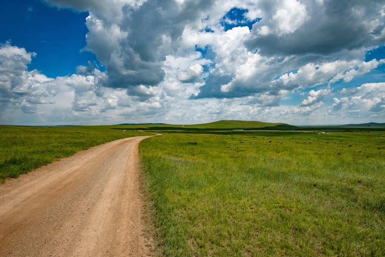 a dirt road running through a lush green field, by Richard Carline, steppe background, nature and clouds in background, custer's last stand, rule of thirds composition