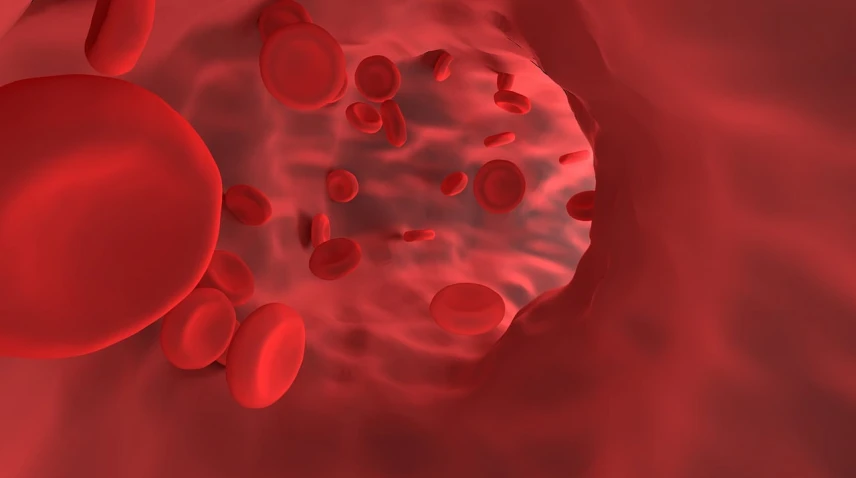 a group of red blood cells in a vein, an illustration of, by Lisa Nankivil, shutterstock, digital art, smooth 3d cg render, red monochrome, 3 d fluid simulation render, medical illustration