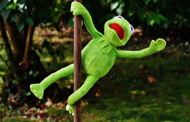 a green stuffed animal hanging from a pole, a picture, inspired by Pál Böhm, pexels, figuration libre, kermit, in an action pose, sitting relax and happy, fruggles