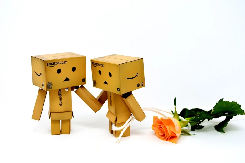 a couple of cardboard boxes holding hands next to a rose, a picture, trending on pixabay, posing robotically, caramel, amazon, plushie photography