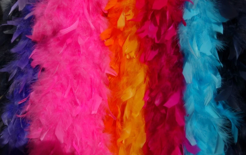 a close up of a bunch of colorful feathers, inspired by Peter Alexander Hay, 33mm photo, scarlet feather boa, warmer and softer colours, colorful ideas