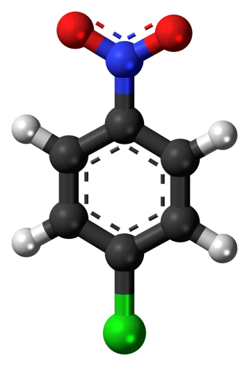 a close up of a model of a molecule, by Thomas Baines, polycount, bauhaus, black backround. inkscape, front portrait, cane, key is on the center of image