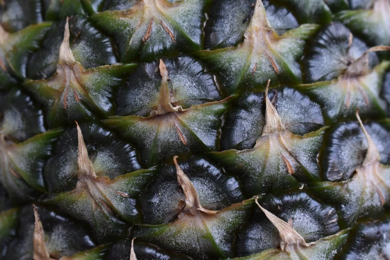a close up view of a pineapple, a macro photograph, hurufiyya, digital photo, ultra detailed photo, sharp black skin, 3 4 5 3 1