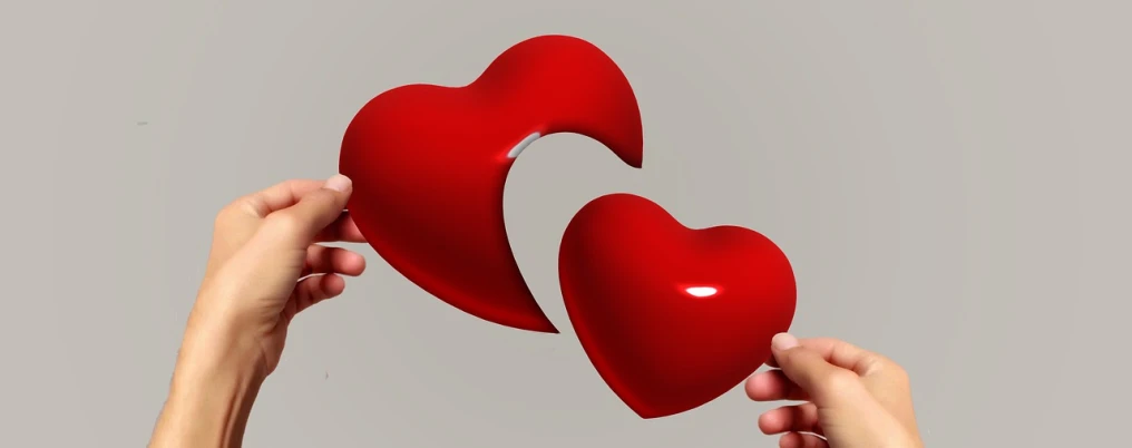 a pair of hands holding two red hearts, a picture, trending on pixabay, romanticism, body breaking apart, photo 3d, edge to edge, smiling at each other