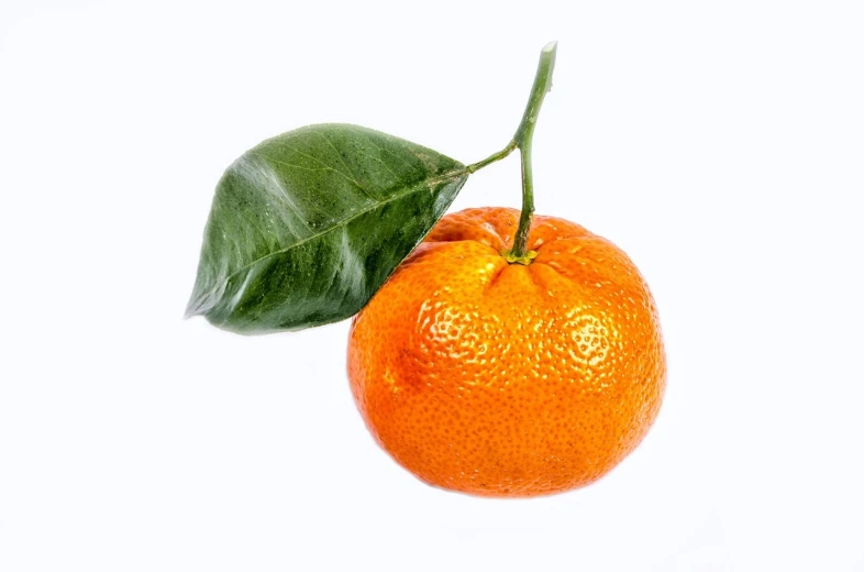 an orange with a leaf on a white background, a picture, by Dietmar Damerau, trending on pixabay, miniature product photo, platon, muskular, made of glazed