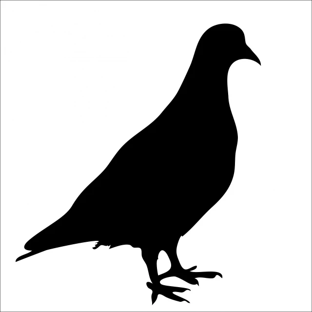 a black silhouette of a bird on a white background, trending on pixabay, pigeon, 1 0 2 4 x 7 6 8, portrait of a big, beautiful girl