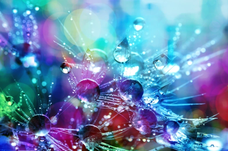 a close up of water droplets on a flower, by Marie Bashkirtseff, shutterstock, digital art, colorful crystals, lights on, magic mushrooms, bokeh ”
