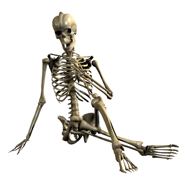 a skeleton sitting on the ground in front of a black background, a digital rendering, massurrealism, full body sarcastic pose, full res, fully body photo