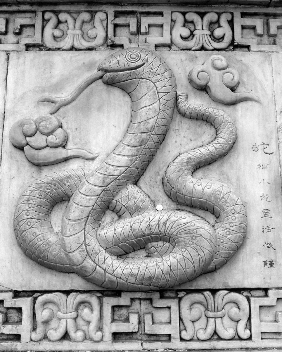 a black and white photo of a snake on a wall, an engraving, flickr, ancient chinese ornate, snake fangs, marble carving, chinese text