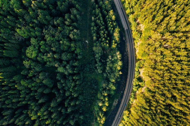 an aerial view of a road in the middle of a forest, by Karl Völker, drone photograpghy, curved, 🤬 🤮 💕 🎀, car shot