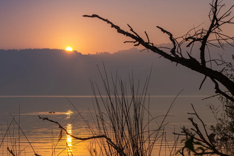 the sun is setting over a body of water, a picture, by Juergen von Huendeberg, shutterstock, distant knotted branches, the dead sea, in the morning mist, at sunrise in springtime