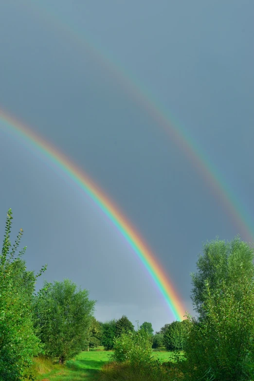 a couple of rainbows that are in the sky, a picture, by Jan Rustem, anna nikonova, hyperdetailed!, back yard, taken with a pentax k1000