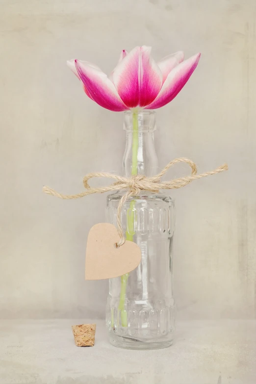 a close up of a vase with a flower in it, romanticism, tag heur, istockphoto, bottle, tulip