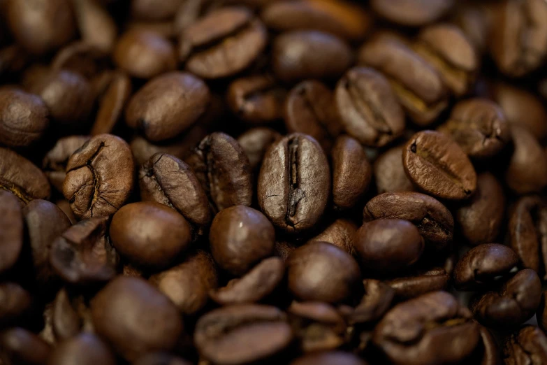 a close up of a pile of coffee beans, a portrait, by Etienne Delessert, unsplash, avatar image, full - color, crypto, 🦩🪐🐞👩🏻🦳