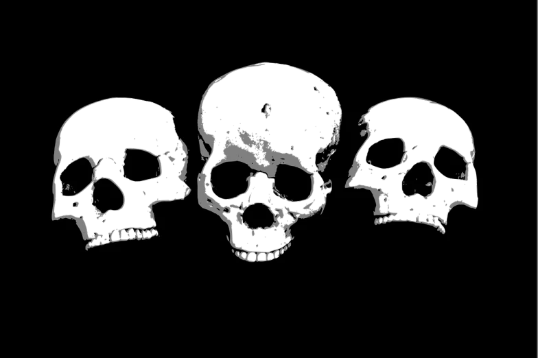 three skulls sitting next to each other on a black background, by Lasar Segall, reddit, stippled, 2 0 5 6 x 2 0 5 6, loadscreen, without text