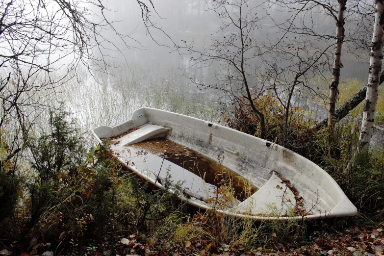 a boat that is sitting in the grass, a photo, by Béla Nagy Abodi, flickr, environmental art, in a foggy forest, stagnant water, gray, skiff