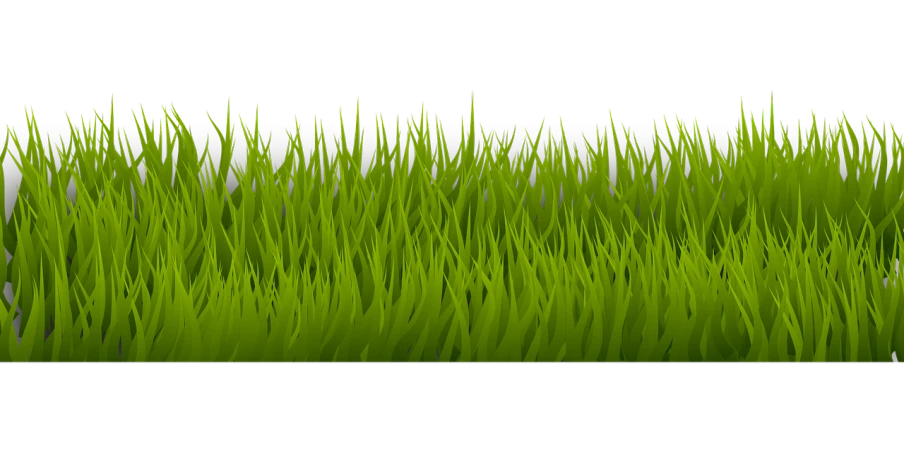 a close up of green grass on a black background, polycount, conceptual art, inside stylized border, seaweed floating, cartoonish and simplistic, 3 0 0 mm