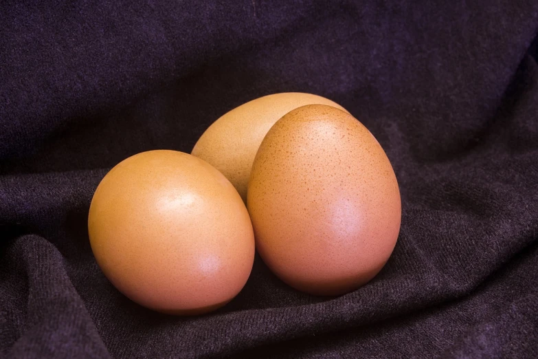 three eggs sitting next to each other on a black cloth, a pastel, by Jan Rustem, pixabay, stock photo, older male, high detail product photo, warm