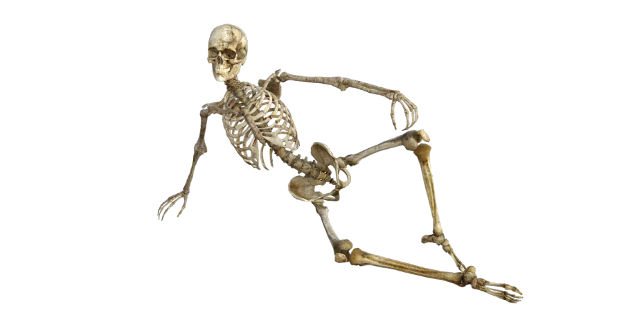 a close up of a skeleton on a black background, a digital rendering, by Muirhead Bone, conceptual art, sitting cross-legged, amusing, -h 1024, contorted limbs