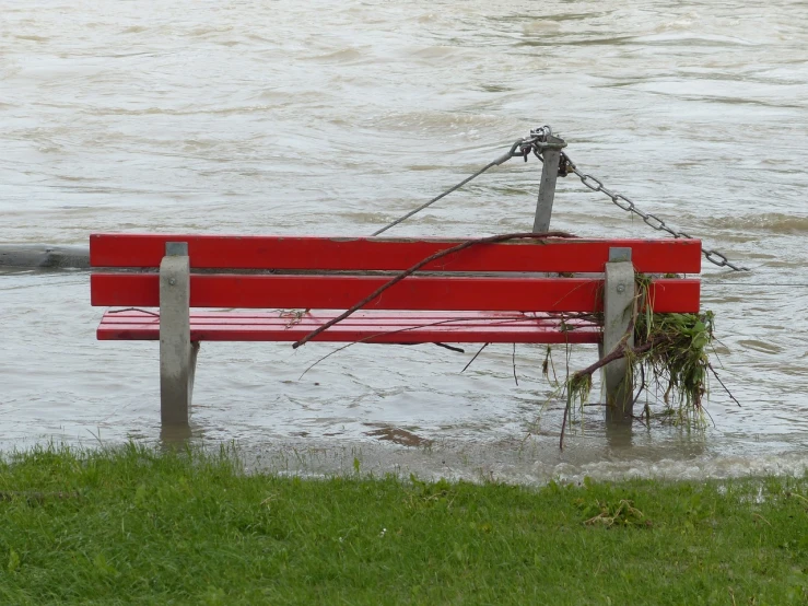 a red bench sitting on top of a lush green field, a picture, pexels, auto-destructive art, painting of flood waters, cane, sturdy, red wires wrap around