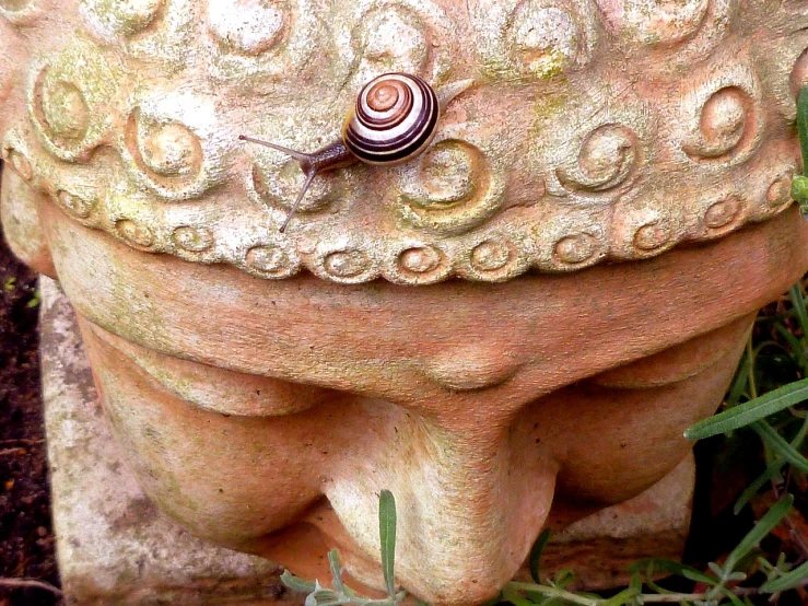 a snail that is sitting on top of a statue, a macro photograph, flickr, buddhist art, laos, discovered in a secret garden, pierced