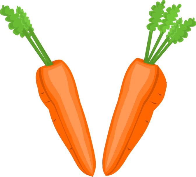 a couple of carrots sitting next to each other, a digital rendering, vectorized, perfect symmetry, !!! very coherent!!! vector art, 王琛