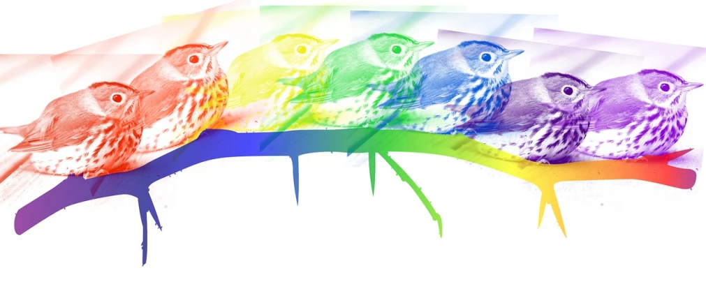 a group of owls sitting on top of a tree branch, an illustration of, by Claire Falkenstein, trending on pixabay, fine art, inverted neon rainbow drip paint, isolated on white background, colorized photograph, side profile view