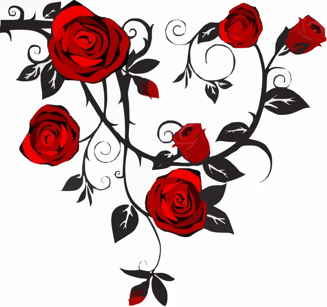 a bunch of red roses on a white background, inspired by Johann Rudolf Byss, art nouveau, with black vines, istockphoto, a beautiful artwork illustration, cute