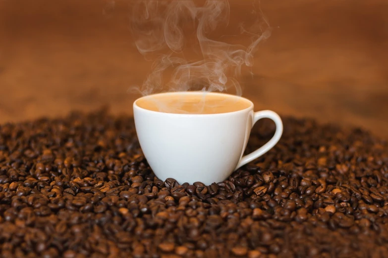 a cup of coffee sitting on top of a pile of coffee beans, steaming coffee, profile image, uploaded, resting