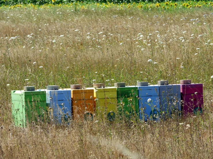 a row of colorful boxes in a field of tall grass, a photo, by Dietmar Damerau, surface hives, very very happy!, archive photo, honey