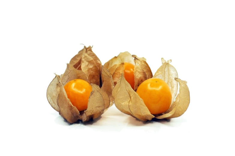 a couple of fruit sitting on top of a white surface, an illustration of, by Robert Peak, shutterstock, chinese lanterns, paper grain, high detail product photo, transparent background