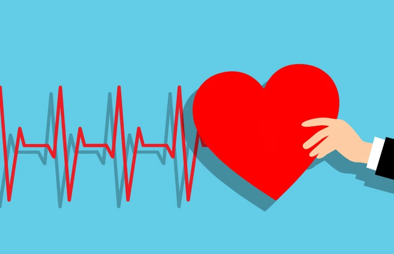 a person holding a red heart in front of an ecg line, a picture, figuration libre, cartoonish and simplistic, banner, ad image, relief