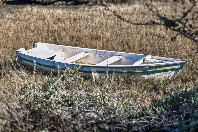 a white boat sitting on top of a dry grass covered field, by Richard Carline, precisionism, hdr color, skiff, marshes, lowres