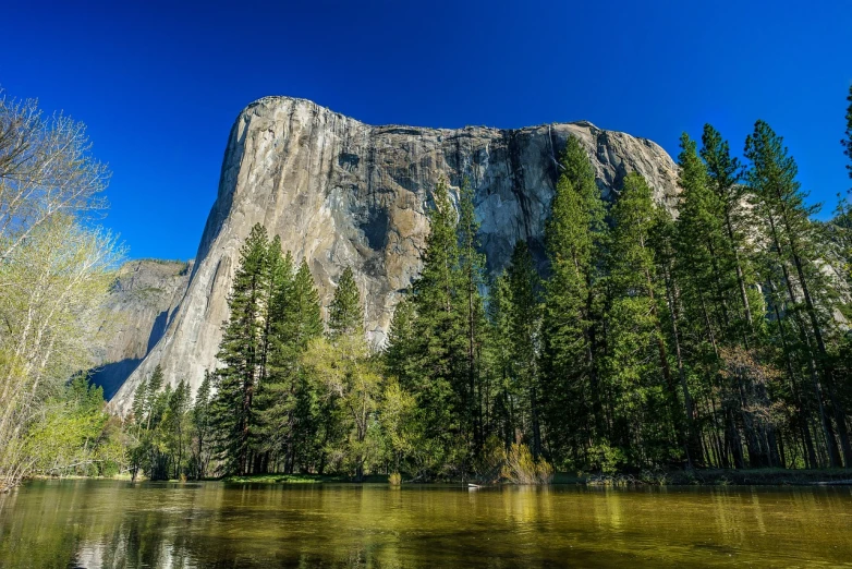 a body of water with a mountain in the background, a picture, by Bernardino Mei, shutterstock, el capitan, huge incredibly immense trees, usa-sep 20, huge and megalithic