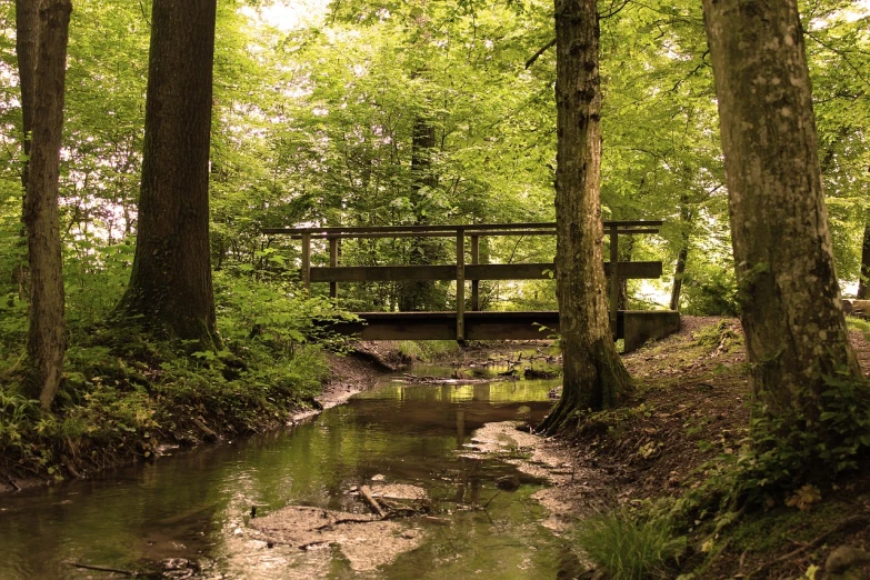 a bridge over a stream in a wooded area, inspired by Henri Biva, flickr, lower saxony, portrait 4 / 3, summer afternoon, a wooden