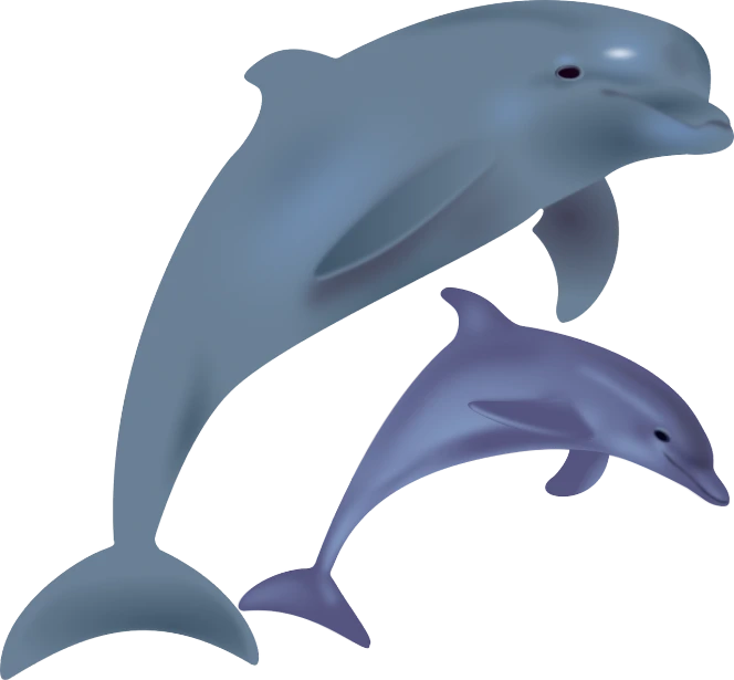 a couple of dolphins standing next to each other, an illustration of, by Taiyō Matsumoto, no gradients, purple. smooth shank, [ realistic photo ]!!, bone