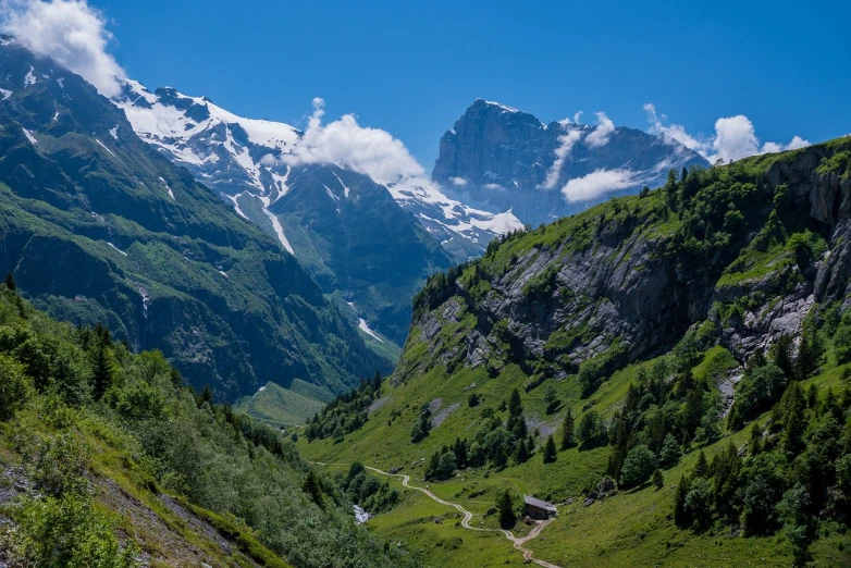 a train traveling through a lush green valley, by Werner Andermatt, lauterbrunnen valley, glaciers and ice and snow, time to climb the mountain path, summer landscape with mountain