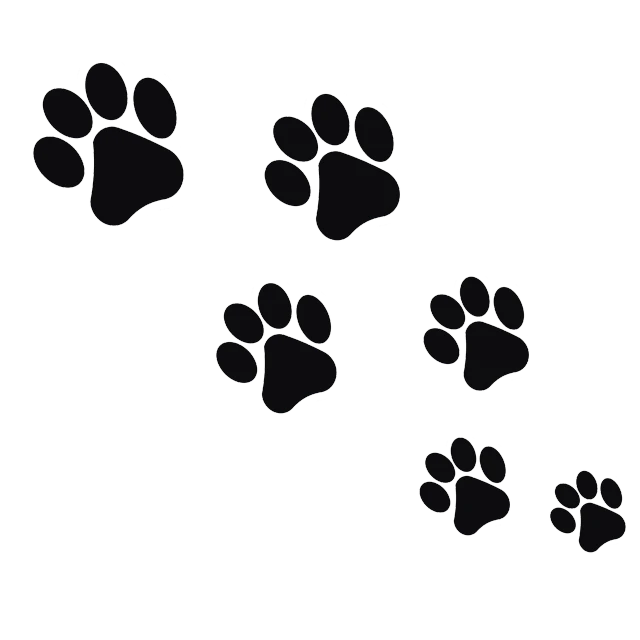 a group of paw prints on a black background, by Martina Krupičková, minimalism, drawn in microsoft paint, imvu, black floor, -h 1024