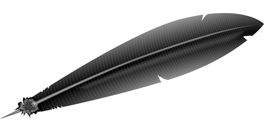 a black and white feather on a black background, a raytraced image, inspired by Pedro Álvarez Castelló, 3d ios interface design jony ive, very consistent bezier curves, ambient occlusion:3, spaceship hull texture